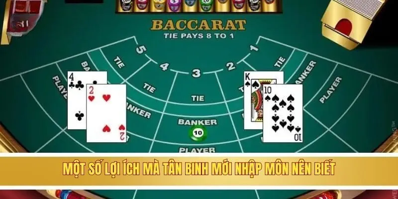 Cách Đánh Baccarat Không Bao Giờ Thua Chất Lượng Nhất GOOD88 3 Một số lợi ích mà tân binh mới nhập môn nên biết